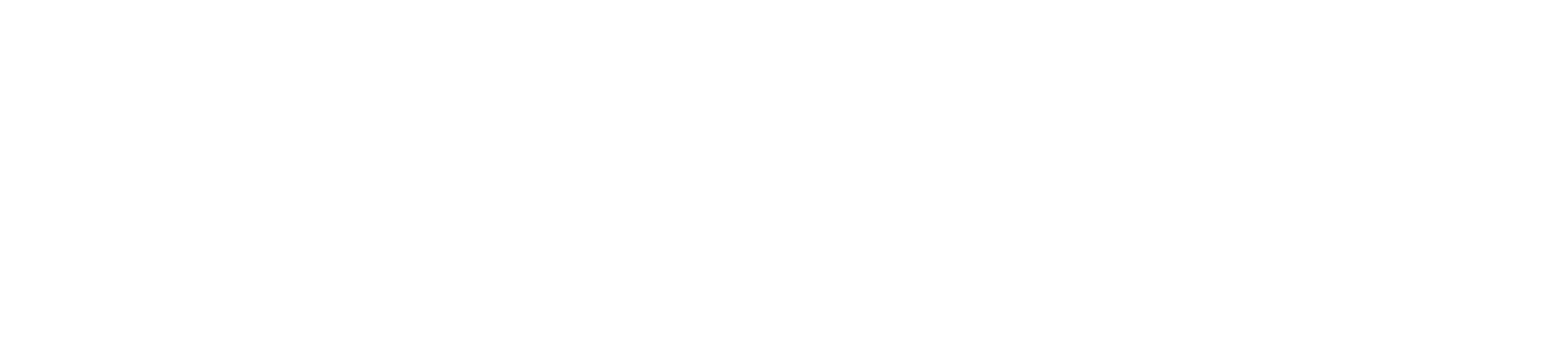 Spyder Active Sports logo